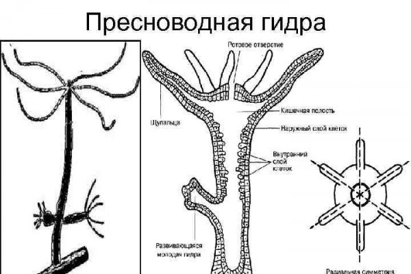 2krn cc что это