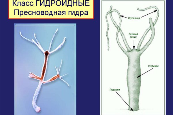 Кракен наркоман